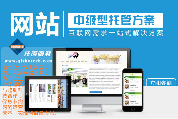 企业网站中级型托管方案