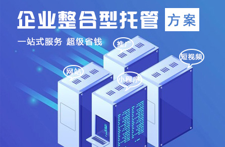 企业整合型托管方案